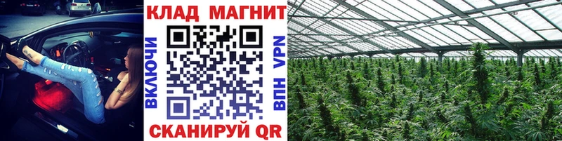 Наркошоп купить Марихуана  Меф  Alpha-PVP  ГАШИШ  Новозыбков