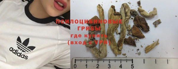 амф Бронницы
