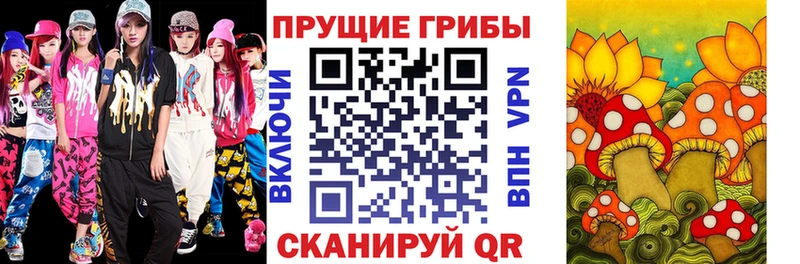 Купить  Новозыбков  Псилоцибиновые грибы Magic Shrooms 