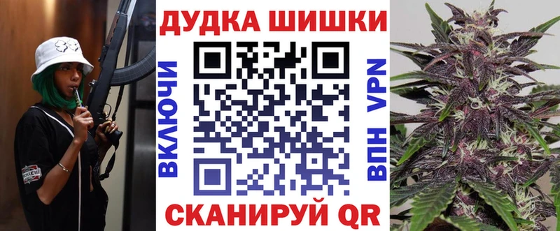 Купить закладки  Новозыбков  Канабис SATIVA & INDICA 
